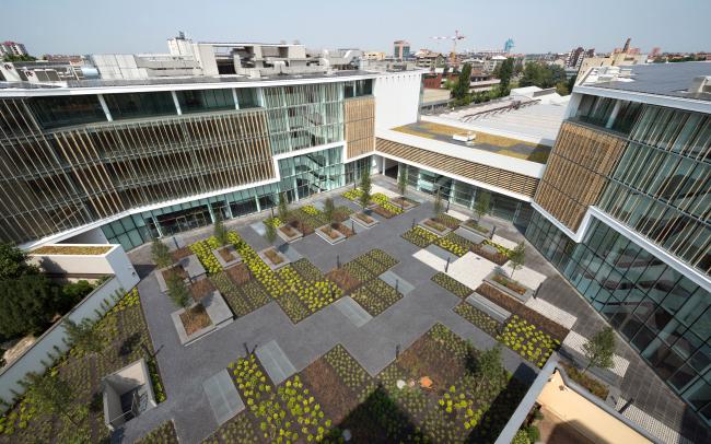 Walkways and planted Sedum beds create a pattern